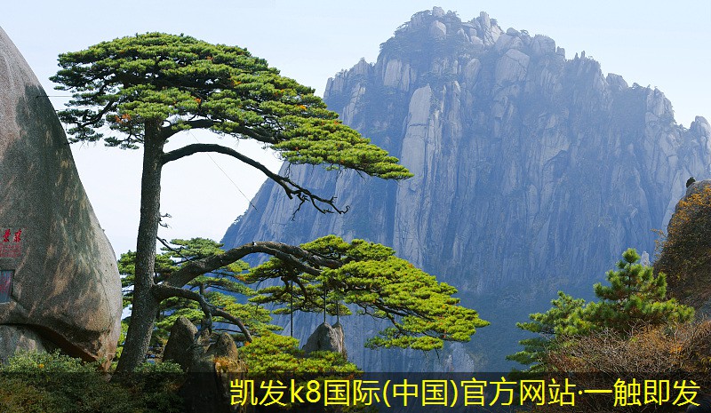 地上式一體化設(shè)備的市場現(xiàn)狀與未來展望