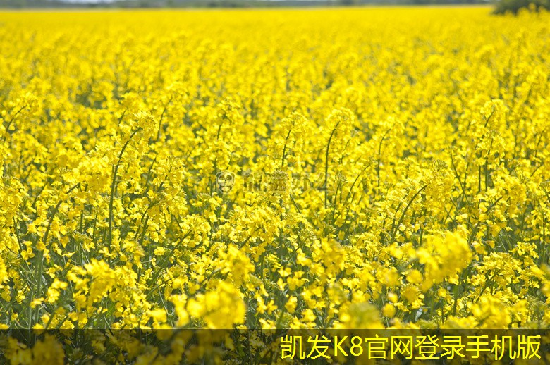 地上式一體化設(shè)備的設(shè)計(jì)理念與工程應(yīng)用