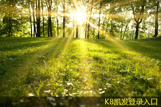 地送風(fēng)固定百葉風(fēng)口的優(yōu)勢(shì)與應(yīng)用