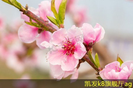 多介質(zhì)過(guò)濾器在環(huán)保中的作用