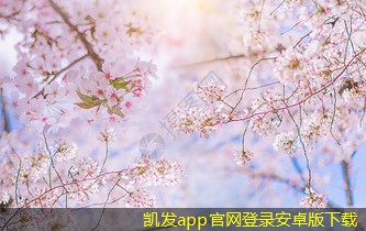 多葉排煙口的安裝位置選擇技巧