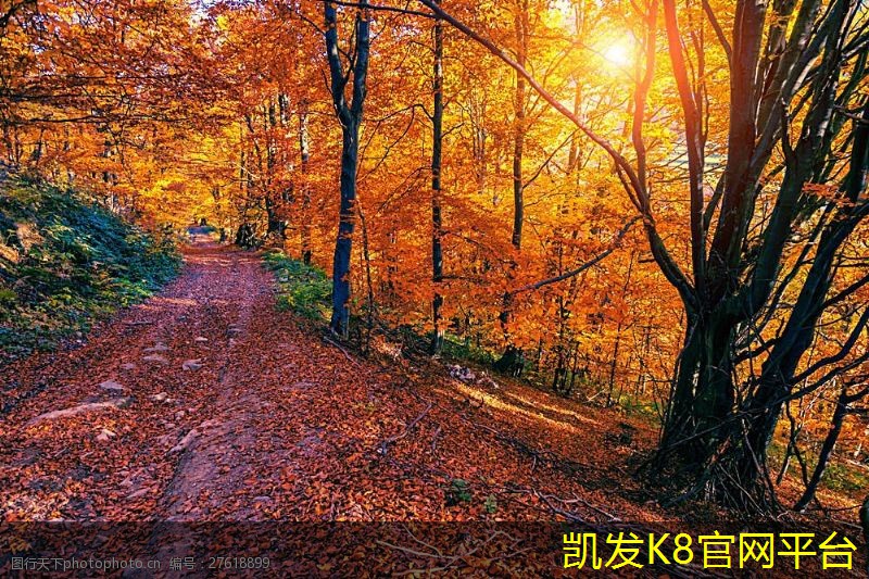 如何優(yōu)化圓形斜片散流器的性能