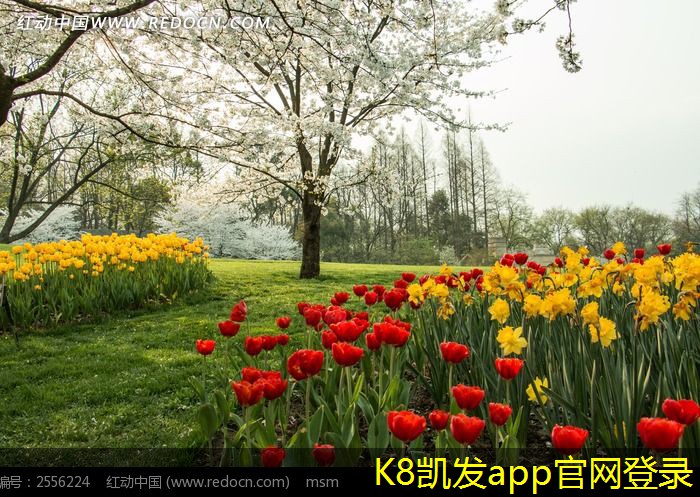 如何優(yōu)化條形散流器的安裝位置
