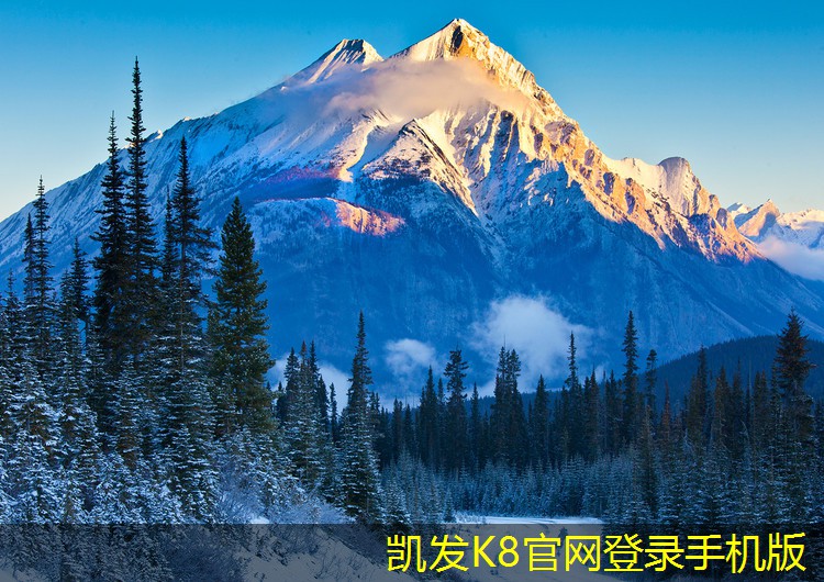 如何挑選適合家庭的加熱器