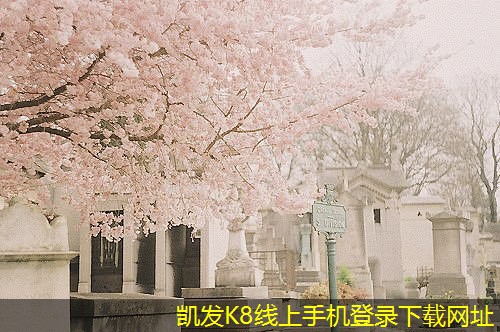 如何提高SJG斜流式風機的性能