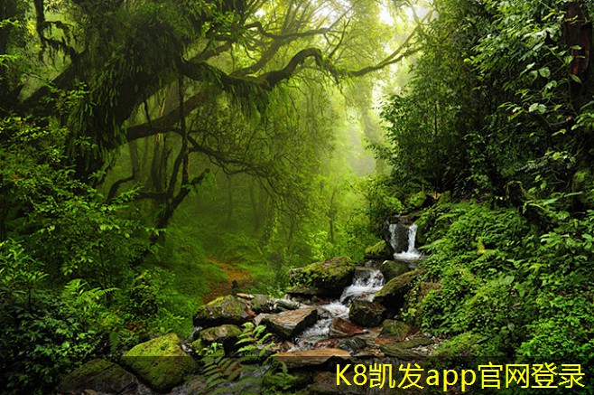 如何提高低噪音軸流風(fēng)機(jī)的效率