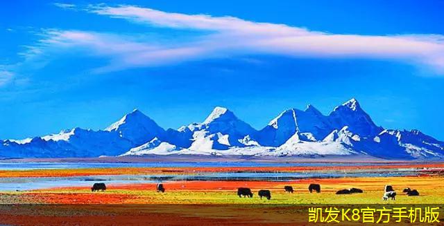 如何提高地送風(fēng)固定百葉風(fēng)口的使用效率