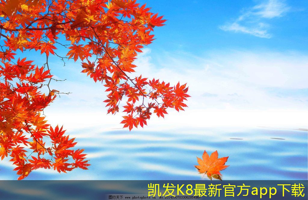 如何提高渦凹氣浮機的運行效率