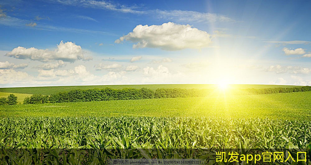 如何進(jìn)行調(diào)節(jié)閥的性能測(cè)試