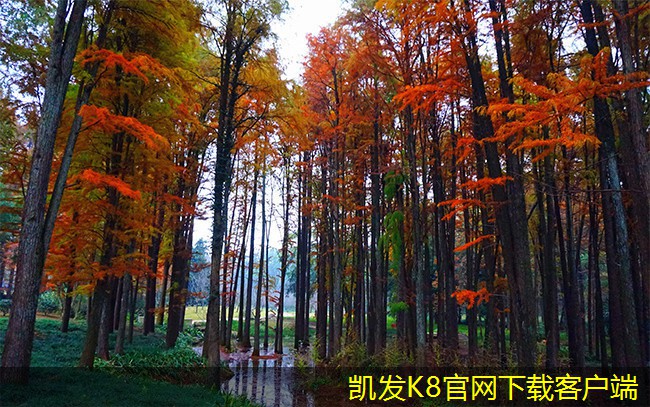 如何選擇合適的減振器型號(hào)