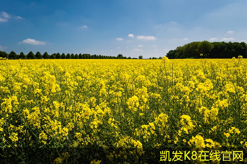 安裝可拆式板式熱交換器的注意事項(xiàng)