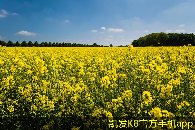 定風(fēng)量閥與風(fēng)機(jī)的協(xié)同工作