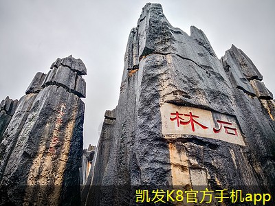 實現(xiàn)高效氣流管理的圓環(huán)形葉片散流器
