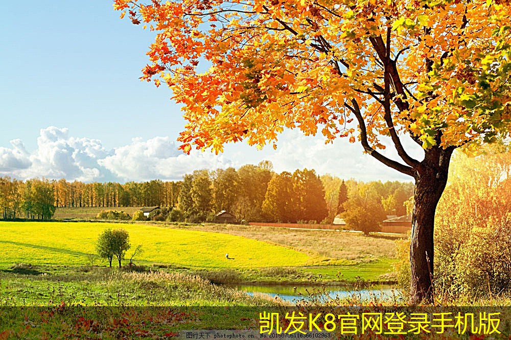 家用加熱器的流行趨勢及市場分析