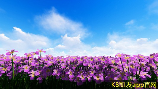 射流風(fēng)口與空氣凈化器的協(xié)同效果