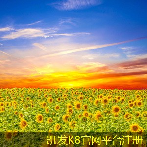 屋頂自然通風機與空調系統(tǒng)的優(yōu)劣對比