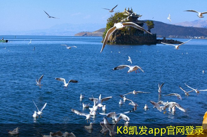 屋頂自然通風機如何助力綠色建筑