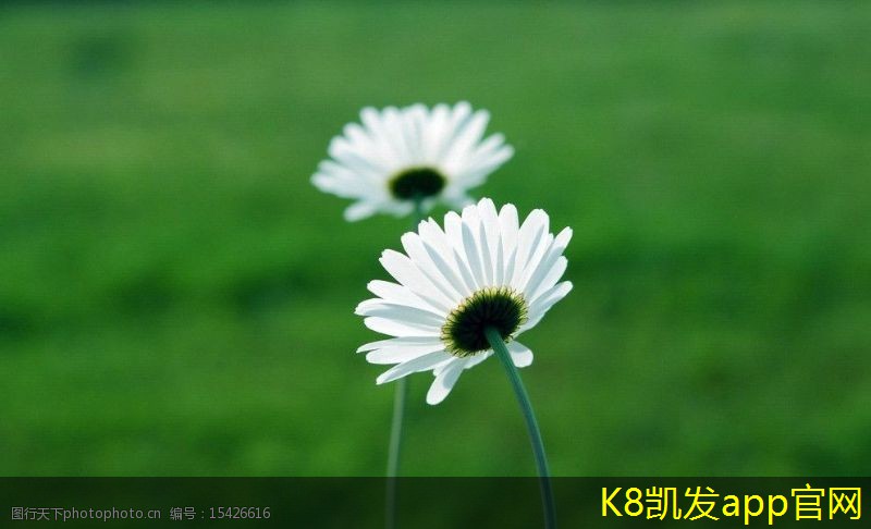 屋頂自然通風機的市場前景分析