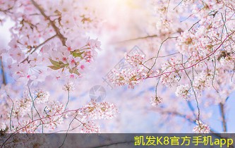 市場上最受歡迎的一體化凈水器品牌