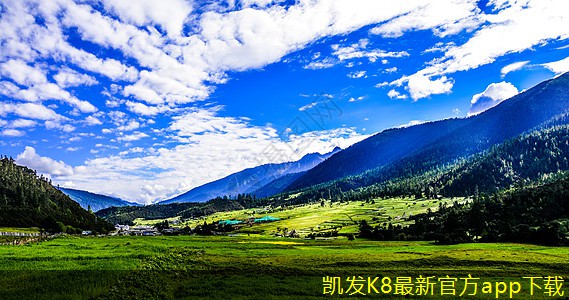 常見加熱器類型及其優(yōu)缺點分析