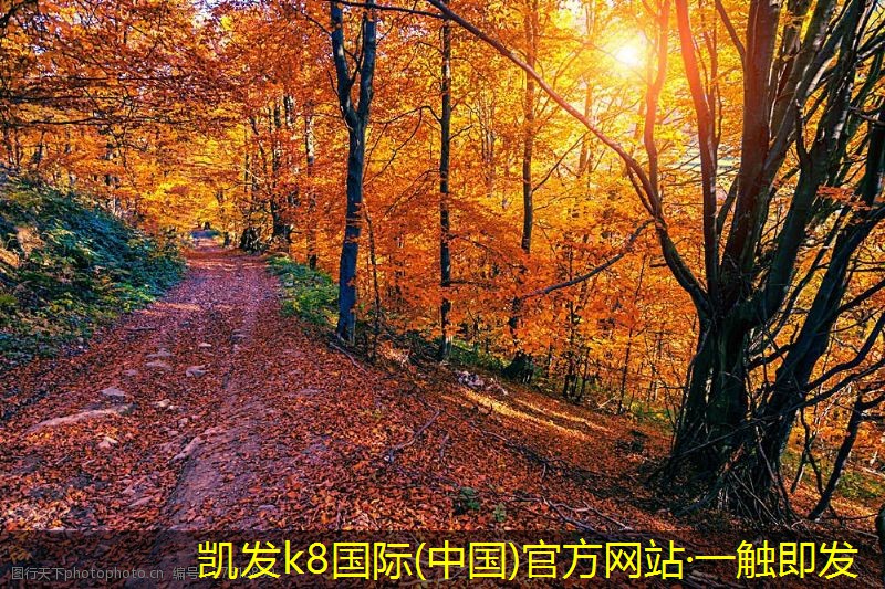 常見定風(fēng)量閥類型對(duì)比