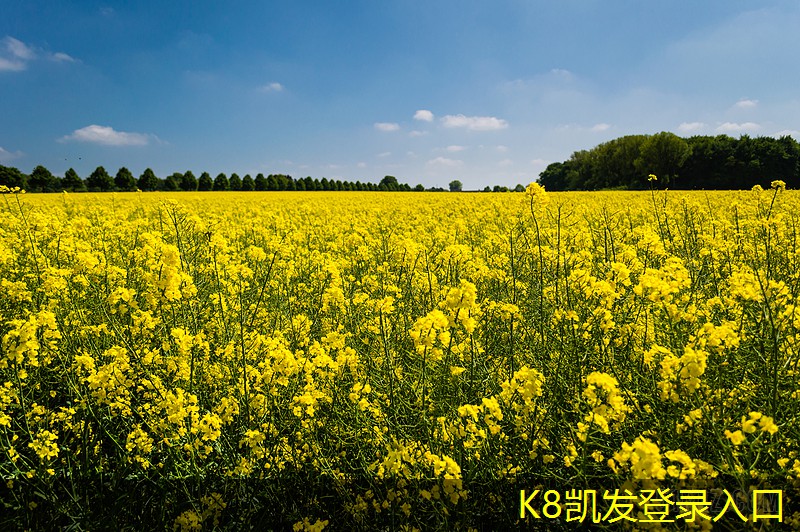 常見問題解答關(guān)于低噪音軸流風(fēng)機