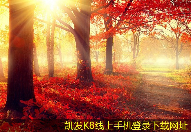 應(yīng)用實(shí)例分析圓環(huán)形葉片散流器的性能