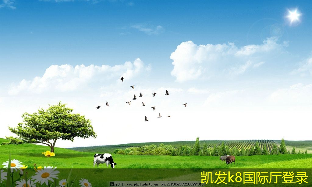 影響條形散流器性能的主要因素