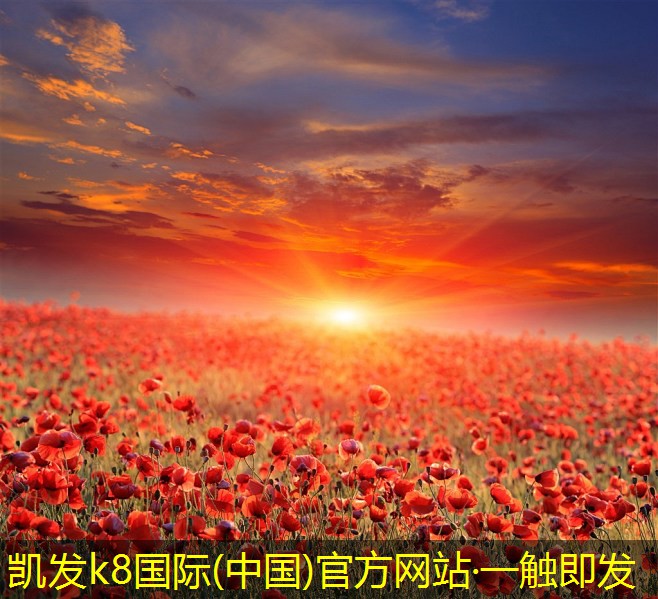 影響止回閥性能的因素