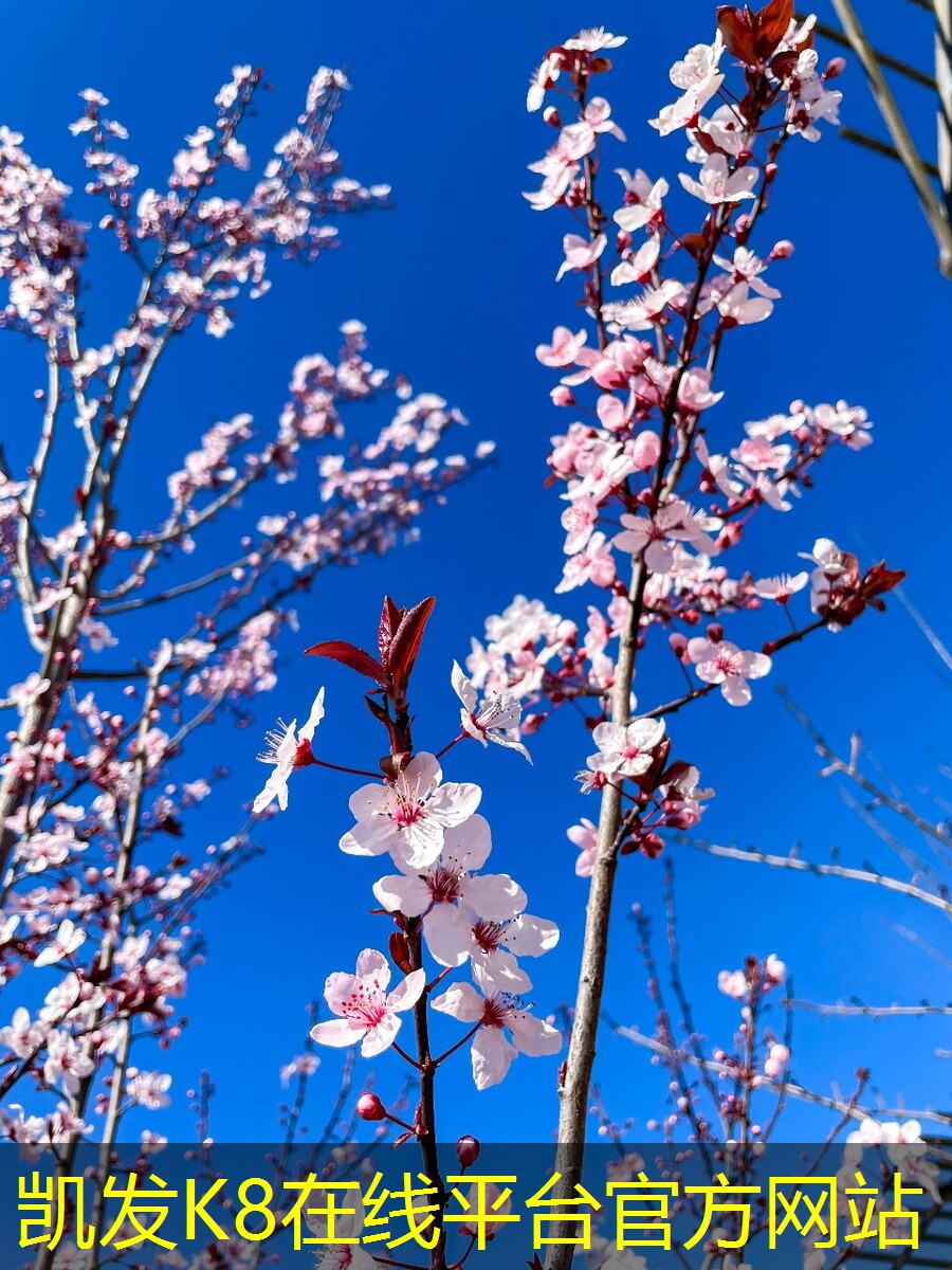 心風(fēng)機(jī)在工業(yè)中的重要性