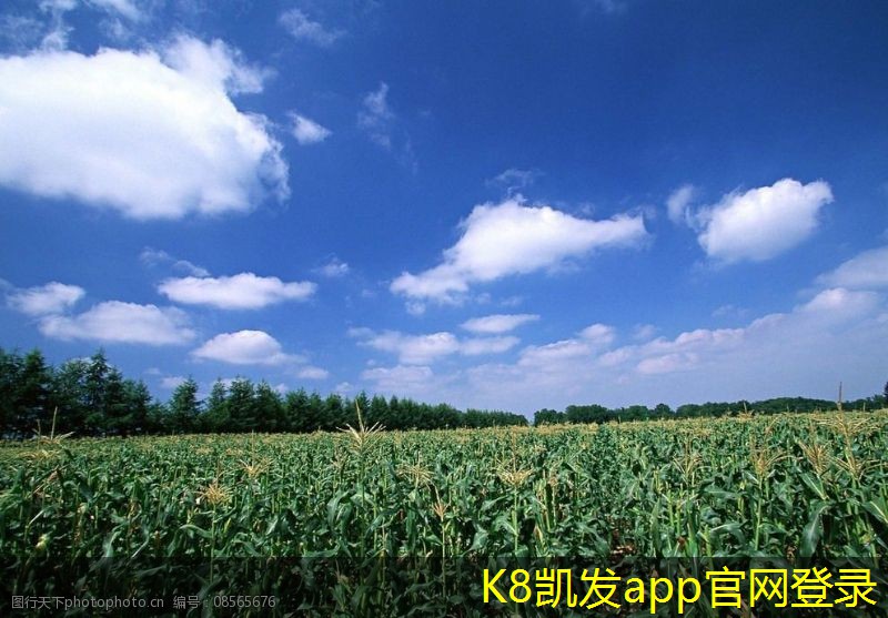 怎樣利用擋水板改善地形 drainage