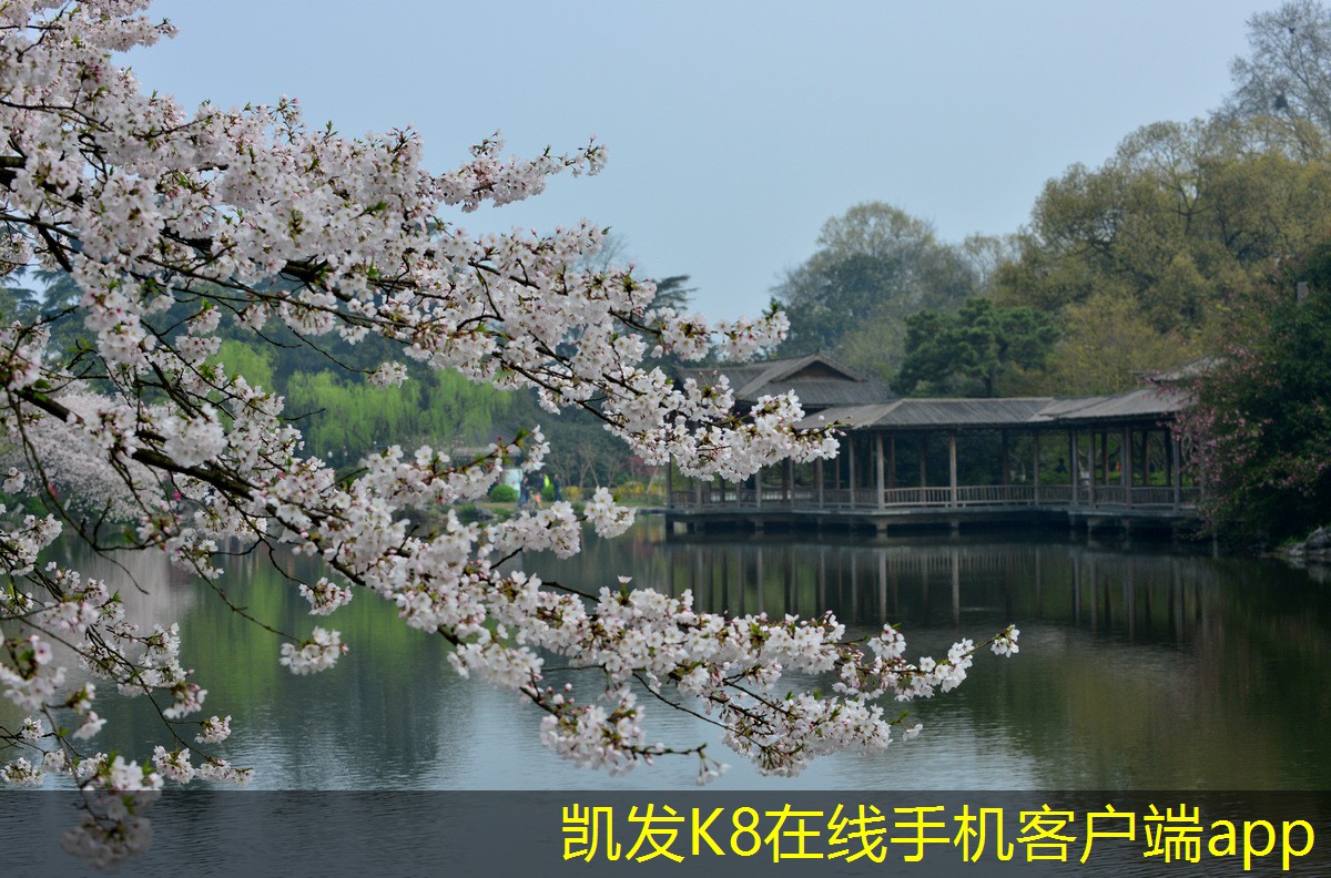 手輪式渦輪蝸桿風(fēng)閥的應(yīng)用領(lǐng)域探討