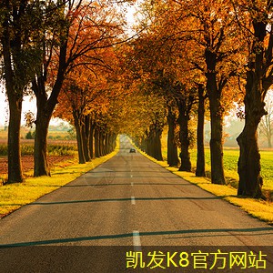 投資者眼中的蛋格式風口前景探討