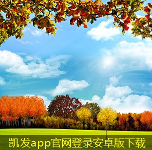 擋水板與傳統(tǒng)排水系統(tǒng)的對比