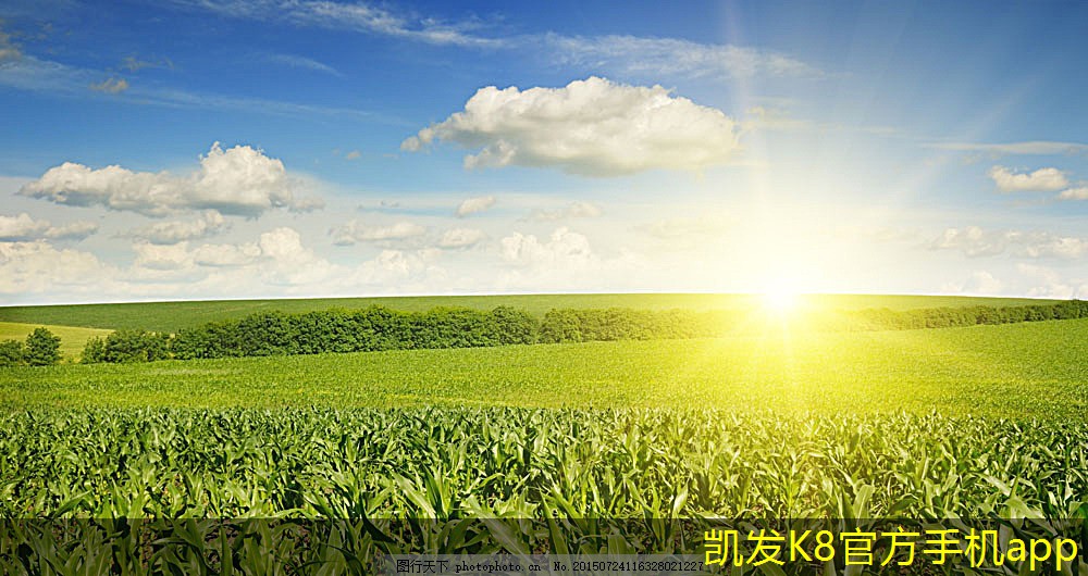 換熱機(jī)組在工業(yè)中的應(yīng)用探討