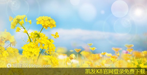 排煙防火閥與其他消防設(shè)備的協(xié)同作用