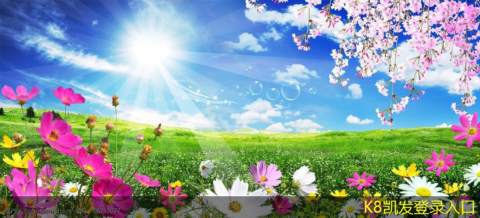 探索無(wú)紡布過(guò)濾器的多種應(yīng)用場(chǎng)景