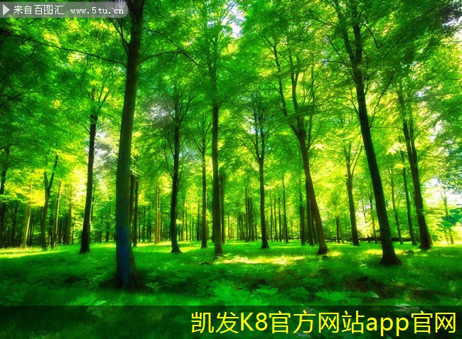 探索智能換熱機(jī)組的智能化管理