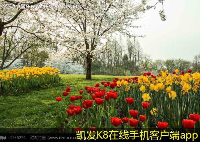 提升換熱效率的最佳方法