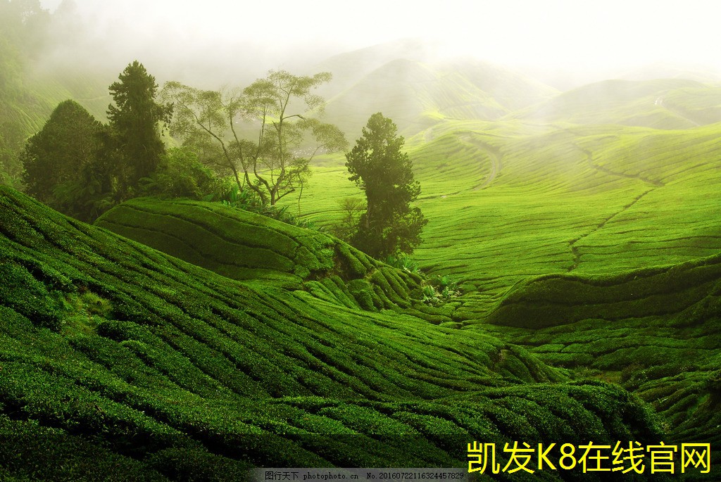 提升效率的SJG斜流式風(fēng)機維護技巧