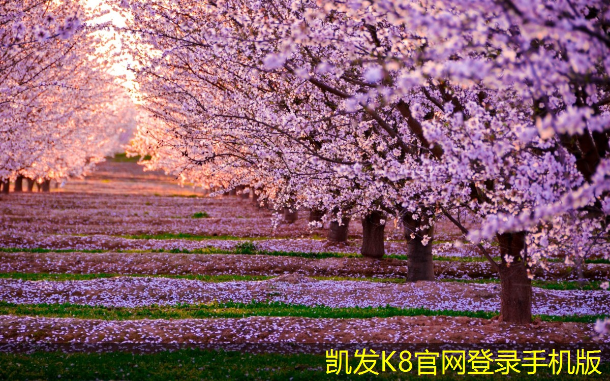 提高水質(zhì)的秘密武器多介質(zhì)過濾器