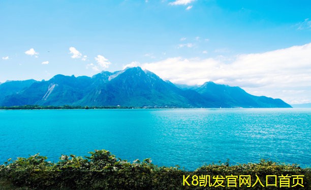 新型調(diào)節(jié)閥技術(shù)趨勢探討