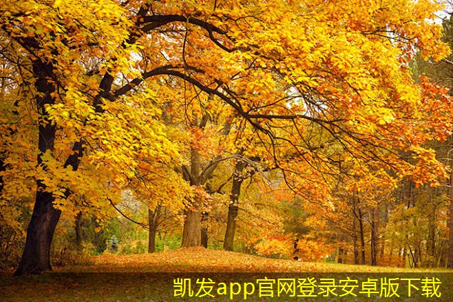 新風(fēng)換氣機(jī)如何改善過敏癥狀