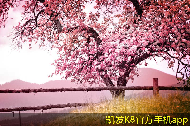 無紡布過濾器與傳統(tǒng)過濾器的對比