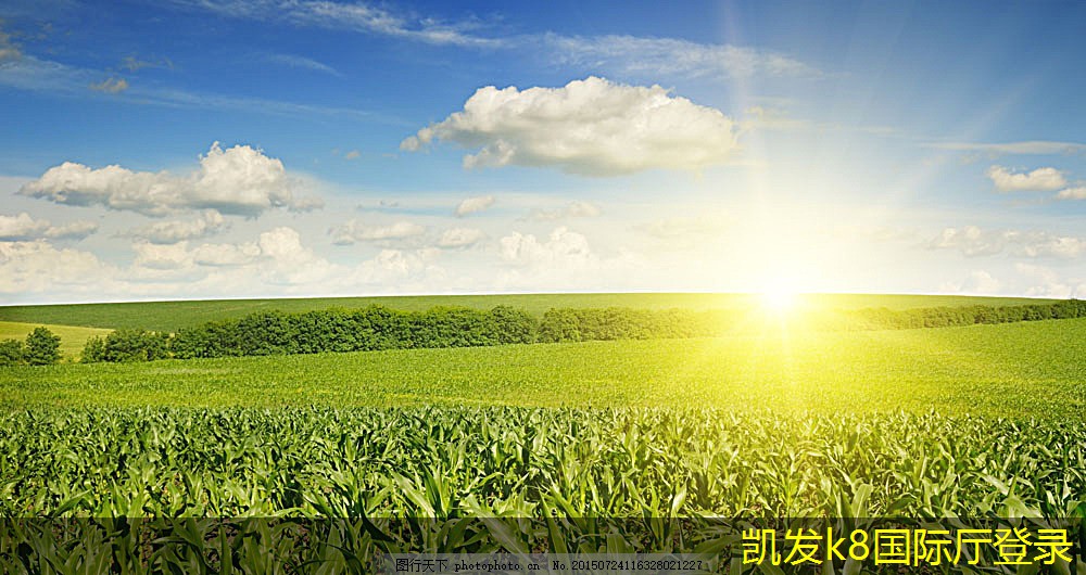 無(wú)紡布過濾器在工業(yè)中的重要性