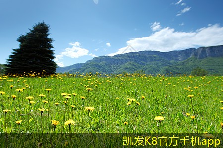 未來換熱機組的發(fā)展趨勢