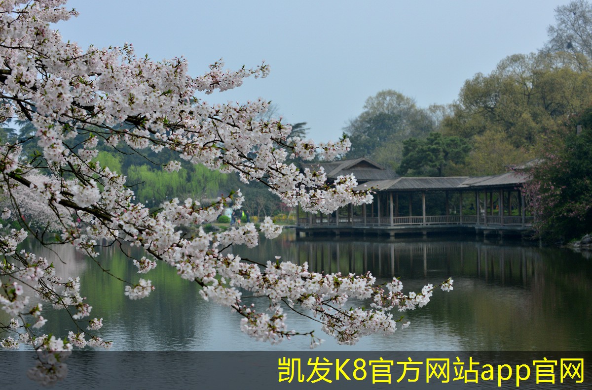 未來(lái)消聲器技術(shù)的創(chuàng)新方向