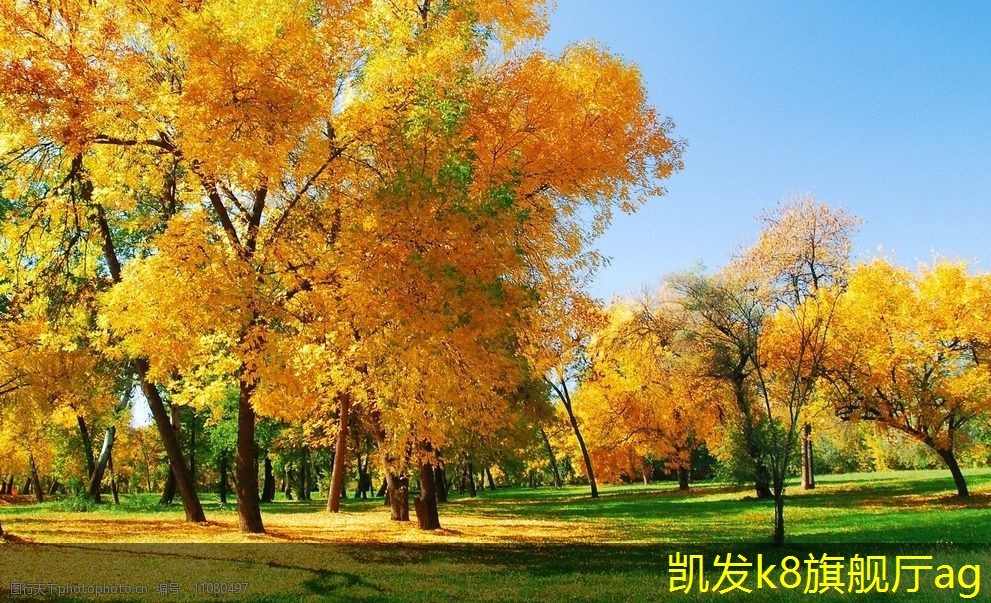 未來調(diào)節(jié)閥的發(fā)展方向