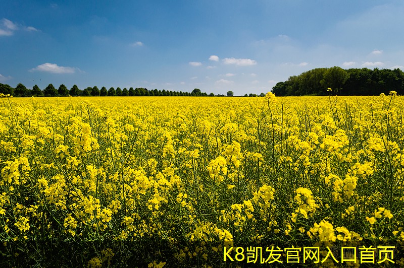 未來(lái)趨勢(shì) 手輪式渦輪蝸桿風(fēng)閥的智能化發(fā)展