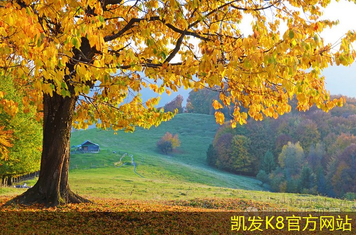 未來(lái)趨勢(shì) 手輪式渦輪蝸桿風(fēng)閥的智能化發(fā)展